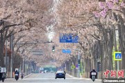 清徐共建“花园城市” 北京这场议政会“百花齐放”