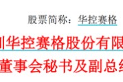 清徐华控赛格董事长、董秘、副总经理三高管同日辞职